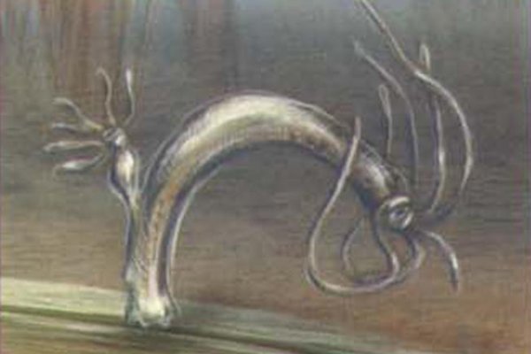 Кракен нов