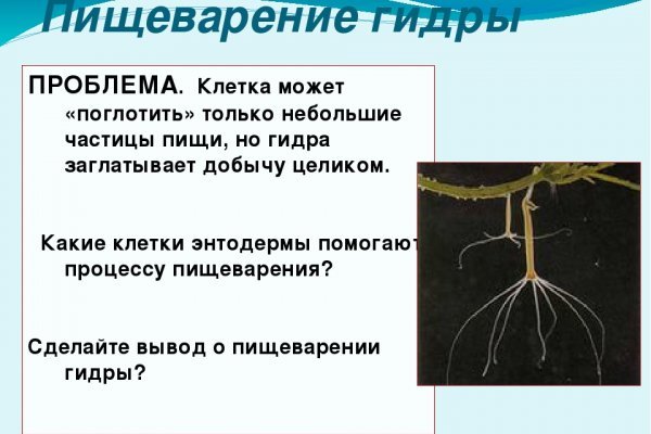 Кракен ссылка что это