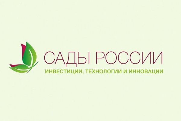 Кракен маркет только через тор