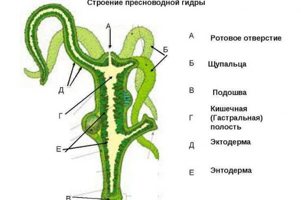 Аккаунты кракен