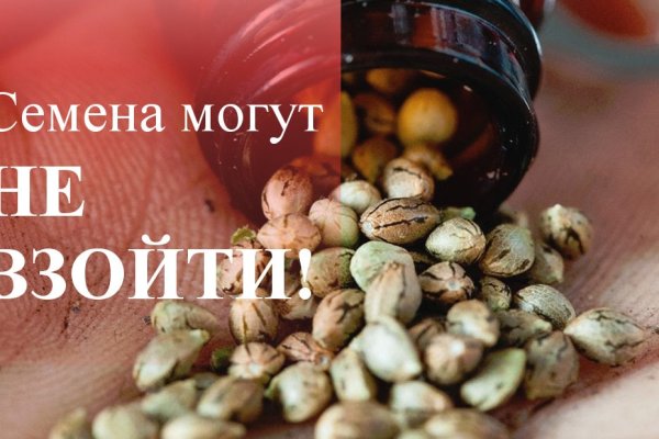 Как зайти в кракен торе