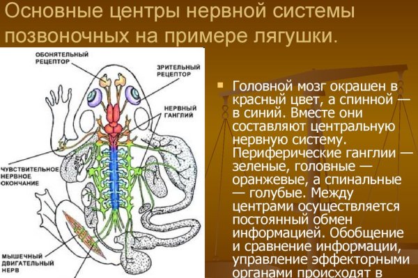 Кракен ссылка зайти