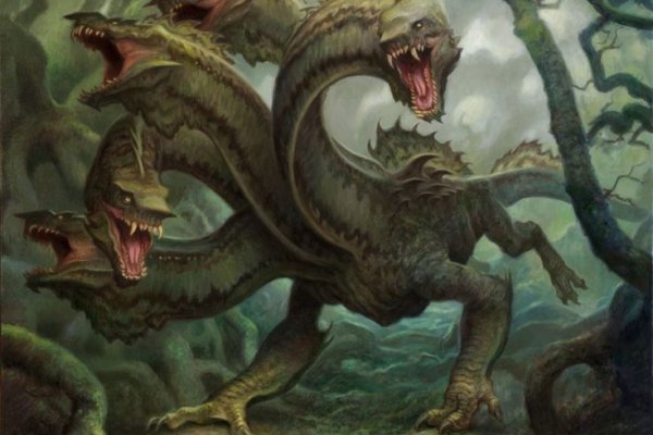 Kraken 24 at